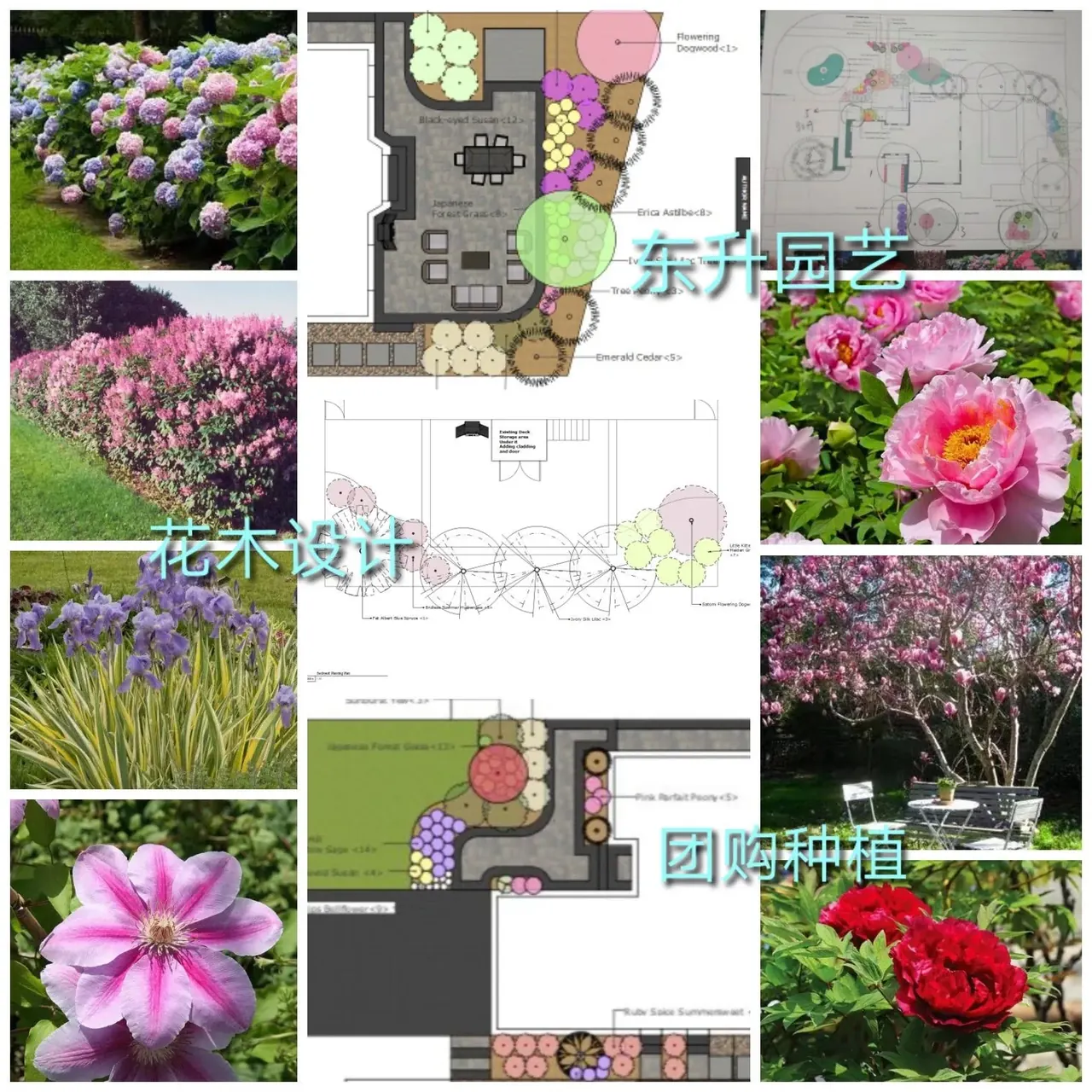 Garden Design & Planting